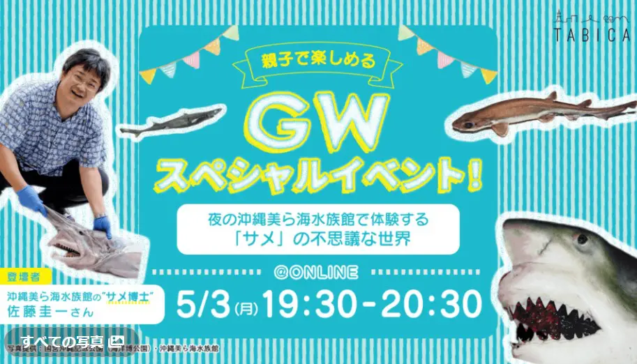 万座毛 古宇利島そして沖縄美ら海水族館 ひとり旅でも車がなくても楽しめる沖縄北部ツアー 旅とアロマ