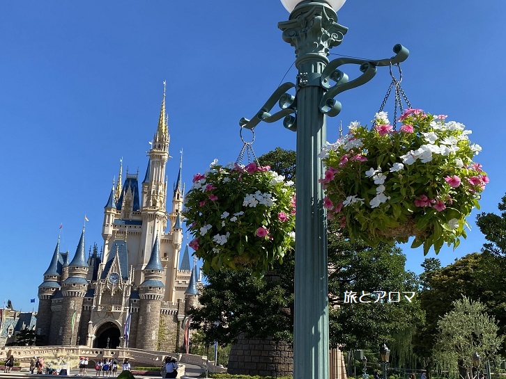 今年の夏は エントリー受付の結果で1日のスケジュールが決まる 東京ディズニーランド 旅とアロマ