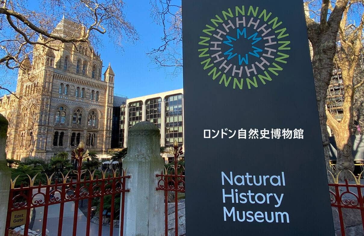 ロンドン自然史博物館 ～アクセス・予約・見どころ～ - 旅とアロマ