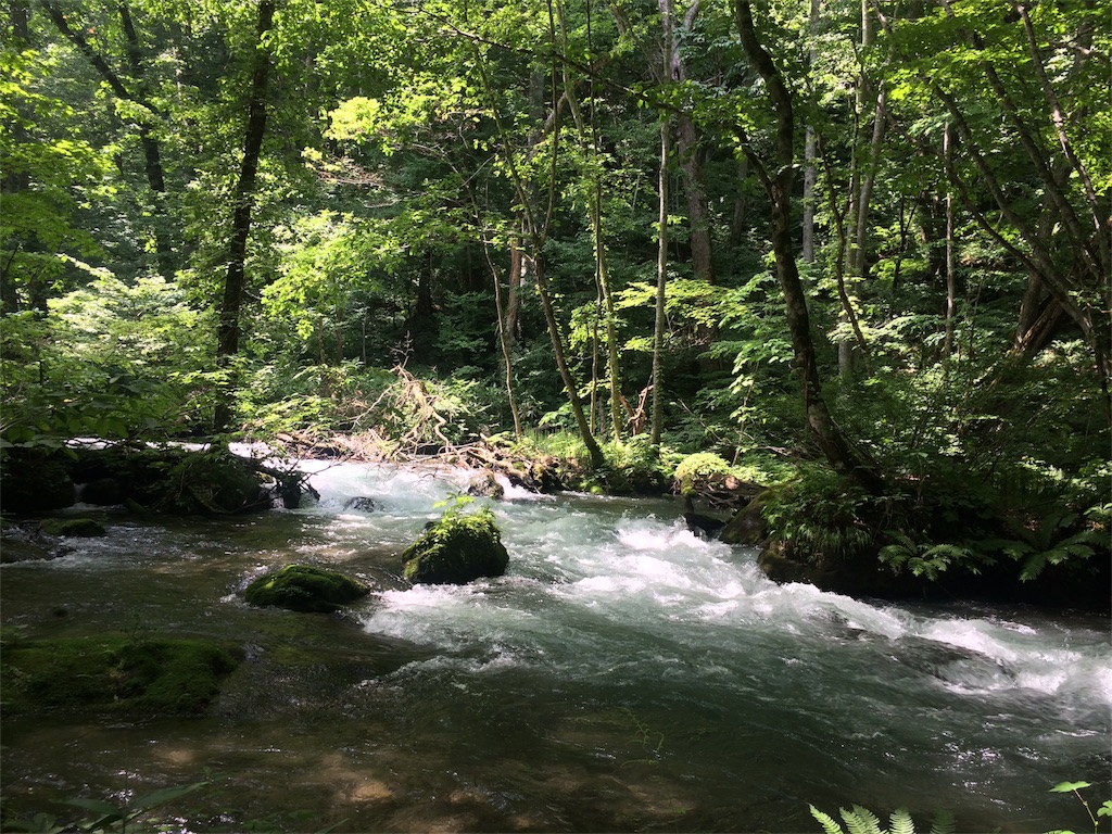 f:id:monteverde-aroma:20180724133719j:image f:id:monteverde-aroma:20180724133719j:image