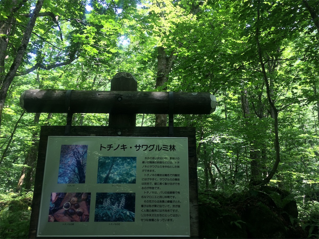f:id:monteverde-aroma:20180725074932j:image f:id:monteverde-aroma:20180725074932j:image