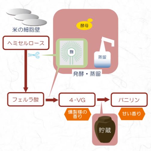 f:id:monteverde-aroma:20190126135530j:plain