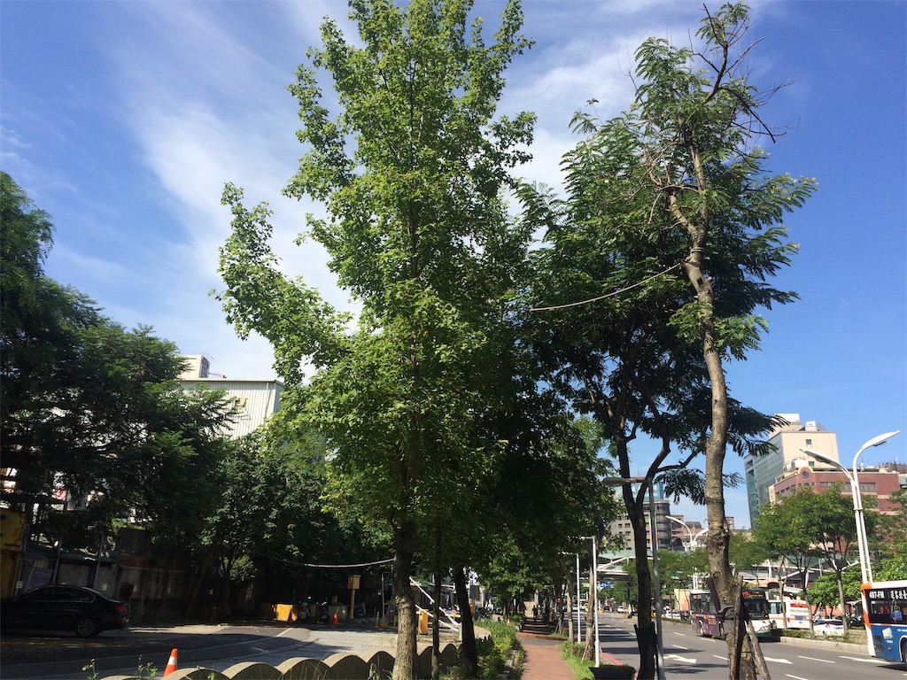 f:id:monteverde-aroma:20190624061911j:plain f:id:monteverde-aroma:20190624061911j:plain