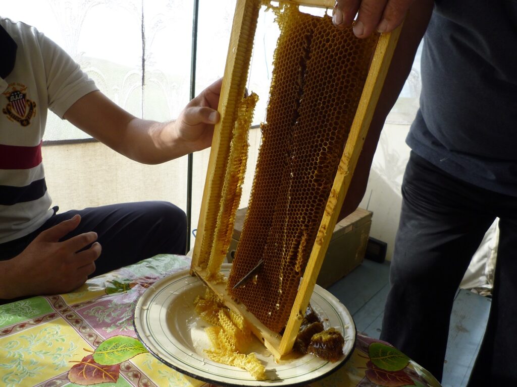 f:id:monteverde-aroma:20190714072901j:plain f:id:monteverde-aroma:20190714072901j:plain