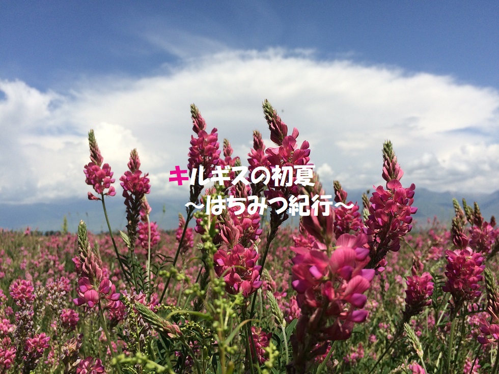 f:id:monteverde-aroma:20190714073839j:plain f:id:monteverde-aroma:20190714073839j:plain