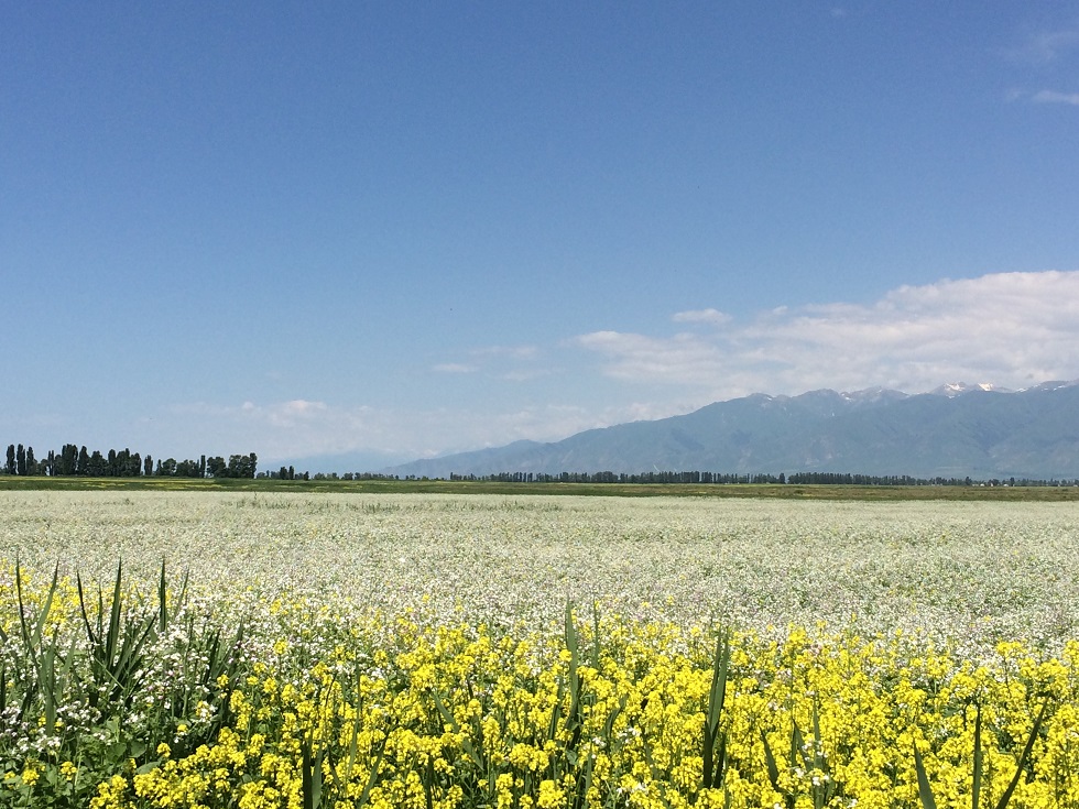 f:id:monteverde-aroma:20190714080348j:plain f:id:monteverde-aroma:20190714080348j:plain