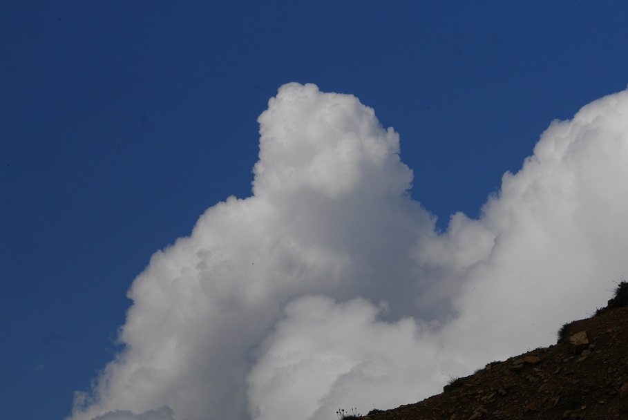 f:id:monteverde-aroma:20190831181118j:plain