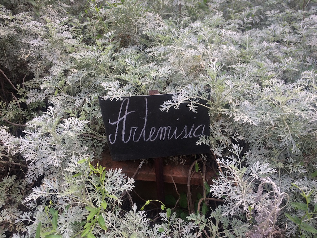 f:id:monteverde-aroma:20191023072407j:image f:id:monteverde-aroma:20191023072407j:image