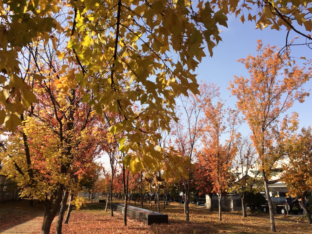 f:id:monteverde-aroma:20191125135607j:plain