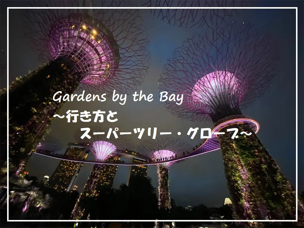 シンガポール 夜のスーパーツリー グローブを見に行きました 旅とアロマ