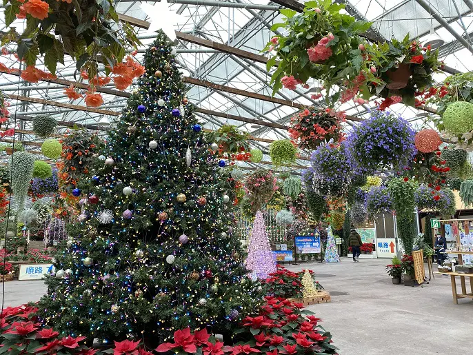花と鳥の楽園からのメリークリスマス 松江フォーゲルパーク 旅とアロマ