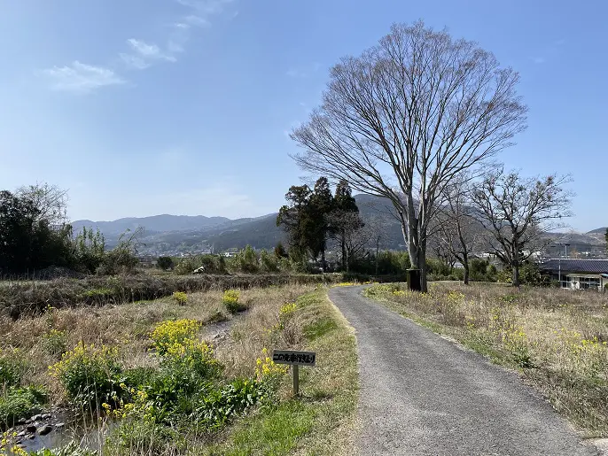 春の花と香りに癒される 湯布院 ひとり旅 風景に溶け込む美術館 博物館 旅とアロマ 春の花と香りに癒される 湯布院 ひとり旅 風景に溶け込む美術館 博物館 旅とアロマ