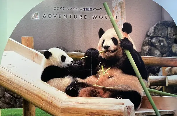 赤ちゃんパンダ 楓浜に会いたい J Airで日帰り 南紀白浜アドベンチャーワールド 旅とアロマ 赤ちゃんパンダ 楓浜に会いたい J Airで日帰り 南紀白浜アドベンチャーワールド 旅とアロマ