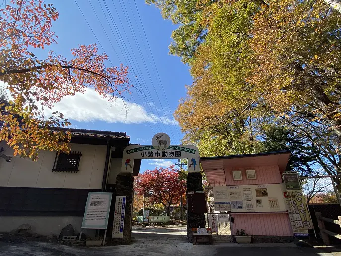 今年一番の紅葉 長野県の小諸城址 懐古園 の美しい秋 旅とアロマ 今年一番の紅葉 長野県の小諸城址 懐古園 の美しい秋 旅とアロマ