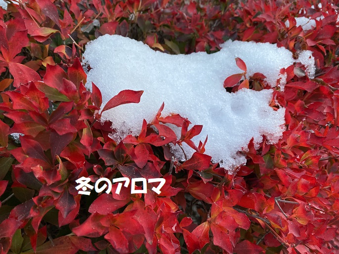 冬のアロマ ～心も体も癒される和の香り～ - 旅とアロマ
