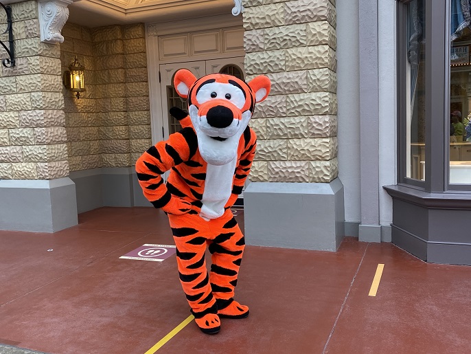 Tdl チケットの購入と今後の入場制限予想 そして21年5月の東京ディズニーランド 旅とアロマ