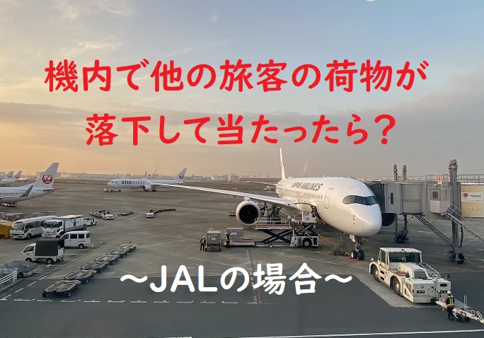 おすすめネット ラスト JAL CA 機内販売 ピンク エプロン metgp.com