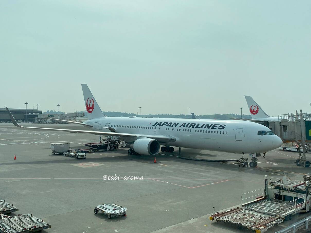 未使用・新品 JALビジネスクラス ダラス-成田 就航初号便 記念ダイヤリー帳 未使用・新品 JALビジネスクラス ダラス-成田 就航初号便 記念