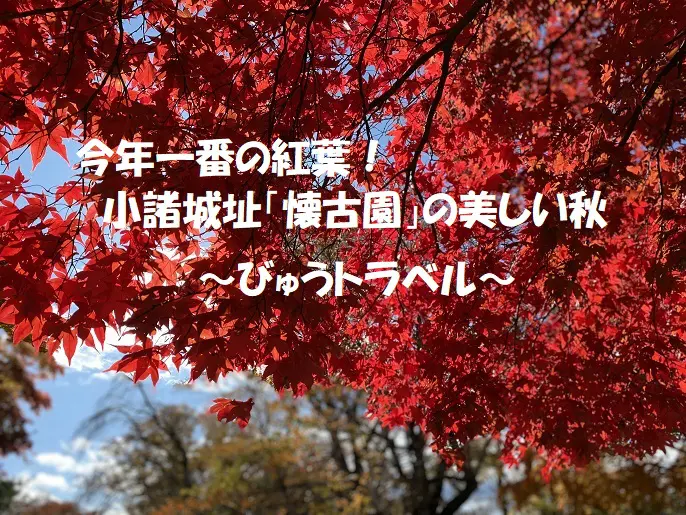 今年一番の紅葉 長野県の小諸城址 懐古園 の美しい秋 旅とアロマ